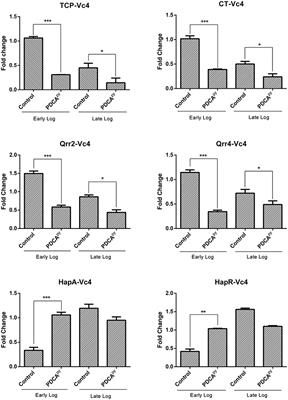 Modulating the Global Response Regulator, LuxO of V. cholerae Quorum Sensing System Using a Pyrazine Dicarboxylic Acid Derivative (PDCApy): An Antivirulence Approach
